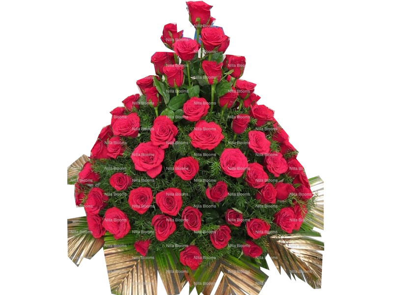 50-roses-nillablooms