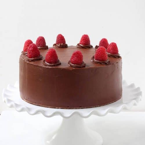 chocolate cake with raspberry